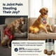 thumbnail image 4 of Suplemento Pupganics Multivitamínico Diario En Soft Chews Para Perros, 4 of 7