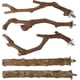 thumbnail image 1 of Perchas para pájaros - Perchas de madera natural para cotorras - Soporte para perchas de loros, accesorios para jaulas de pájaros para loros pequeños o medianos, periquitos y cacatúas, 1 of 7