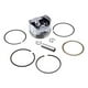 thumbnail image 1 of Kit Pistón Y Anillos Para Motor Honda Gx35, 1 of 7