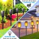 thumbnail image 2 of Antorcha Solar LazyBuddy Pack de 8 con Llama Parpadeante IP65, 2 of 9