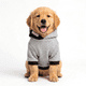 thumbnail image 1 of CHALECO ROJO PERROS Y GATOS- S, 1 of 3