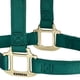 thumbnail image 5 of Cabestro para caballo Weaver Equine de nylon, no ajustable, 5 of 6