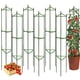 thumbnail image 1 of Tutor para tomates Moirsunt, 6 unidades, acero, 127 cm, soporte para plantas, 1 of 6