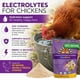 thumbnail image 4 of Powder Buff Clucks AquaBoost Probióticos y Electrolitos 226 g, 4 of 8