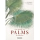 thumbnail image 1 of 40 - Martius. El libro de las Palmeras, 1 of 7