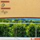 thumbnail image 5 of Toldo Vela Rectangular Sombreadora Malla 5x2 Mt Exterior, 5 of 8