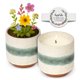 thumbnail image 1 of Vela de aromaterapia Hyggelight The Growing con aroma a lavanda, 1 of 9