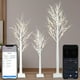 thumbnail image 1 of Árbol de abedul LED Aoycocr Smart con control de aplicaciones, 18 modos, 4/5/6 pies, 1 of 3