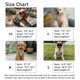 thumbnail image 4 of Arnés para perro COOWONE M (40‑56 cm) con correa anti tirón, 4 of 7