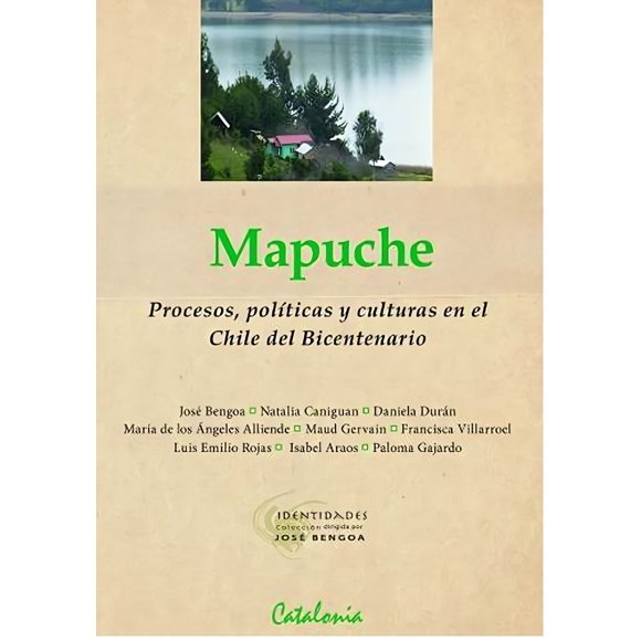 Mapuche. Procesos, Políticas Y Culturas En El Chile Del Bic