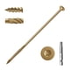 thumbnail image 1 of Tornillos de cubierta SahncaiTechTrade de 8 pulgadas, 50 unidades, recubiertos de epoxi oxidado, 1 of 6