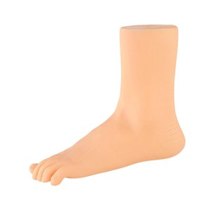 Ioensy - Pie De Maniquí Pies Adultos Realistas Para Exhibir Pulsera De Tobillo Calcetín Corto Pie Izquierdo