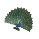 thumbnail image 5 of Miniatura Animales Aves Modelo Estatuilla Estatua Escultura Juguete Pavo Real, 5 of 5