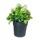 thumbnail image 1 of Planta Artificial Flores Artificiales Lilos Maceta Decorativa V, 1 of 1