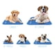 thumbnail image 5 of Alfombrilla para perros Cooling Mat The Green Pet Shop XL para perros de más de 36 kg, 5 of 6