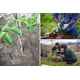 thumbnail image 3 of Cestas para plantas VOLE KING - Cestas para topillos y tuzas, 7-10 galones, paquete de 2, 3 of 3