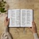 thumbnail image 4 of Biblia Thomas Nelson con Letra Roja y Cubierta de Cuero Suave Marrón, 4 of 9
