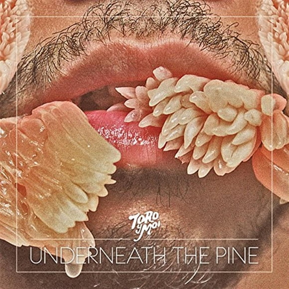 Carpark Records – Bajo el Pino