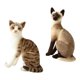 thumbnail image 5 of 2 Uds Gatos De Simulación Animal Relleno De Felpa Juguete De Peluche Regalo De Cumplea?os Sentado, 5 of 5