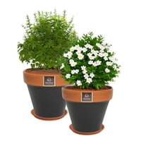 Mestiza - Set De 2 Maceta Kony 24Cm Pizarra Y Sus Platos