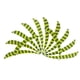thumbnail image 2 of Plumas Para Flechas Fiocias 3" Amarillo Fluorescente 12 Piezas, 2 of 5
