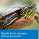 thumbnail image 3 of Tortuga Remedy API TURTLE FIX Nonbacilli, botella de 120 ml, 3 of 6
