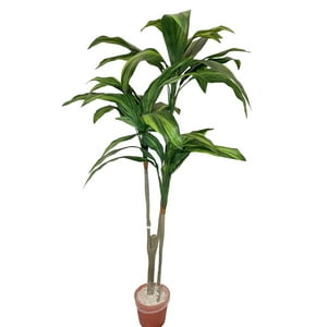 Corel - Árbol Dracena 120Cm