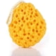 thumbnail image 4 of Esponjas de baño Daycount® (paquete de 3) para exfoliar, eliminar piel muerta y limpiar la ducha (color aleatorio), 4 of 7
