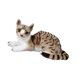 thumbnail image 1 of Juguete De Peluche De Gato Para Decoración De Habitación Infantil, Mu?eco De Gato Acurrucable Para Adultos, Ni?os Y Ni?as, Gris, 25 Cm, 1 of 5