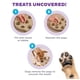 thumbnail image 3 of Juguete para enriquecer el rompecabezas Dog Smart Treat Outward Hound, nivel 1, 3 of 8