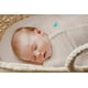 thumbnail image 2 of Saco de dormir para bebés Love to Dream Swaddle Up 1.0 TOG de 6 a 9 kg, 2 of 9