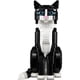 thumbnail image 3 of GATO BICOLOR, 3 of 3