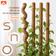 thumbnail image 2 of Kit Tutor De Musgo 20pcs Soporte Plantas Trepadoras 100cm, 2 of 9