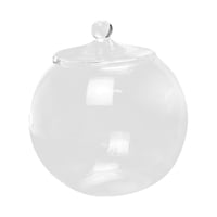 Bothyi - Terrario De Vidrio Decorativo Diy 6,30 '' Tarro De Maceta Para Café De Azúcar De Chocolate