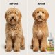 thumbnail image 5 of Spray desenredante para perros We Love Doodles 473 ml con aroma a mango, 5 of 9