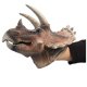 thumbnail image 4 of Marioneta de mano Triceratops gigante y suave de Gemini&Genius, 4 of 9