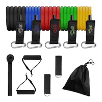 Crusec - Set De Ligas Y Bandas De Resistencia 11 Piezas Pro