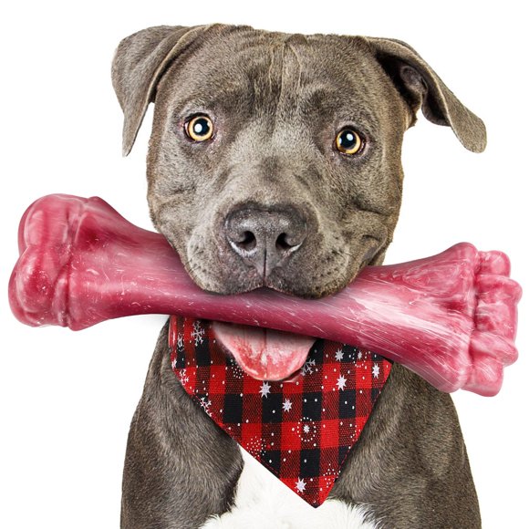 Juguete masticable para perros, de nailon indestructible para cachorros, para masticadores agresivos