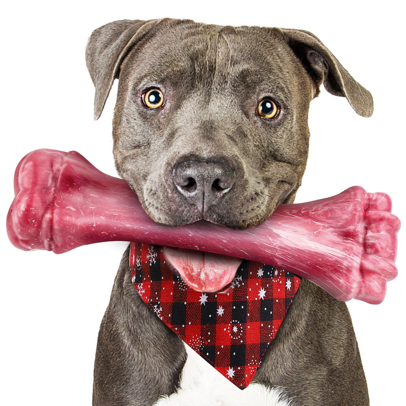 Puptily - Juguete Masticable Para Perros, De Nailon Indestructible Para Cachorros, Para Masticadores Agresivos