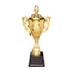 thumbnail image 2 of Premio Trofeo Premio Trofeos pequeños Trofeo Copa con base para de competencia escolar en , 21,5 cm 215 cm, 2 of 5
