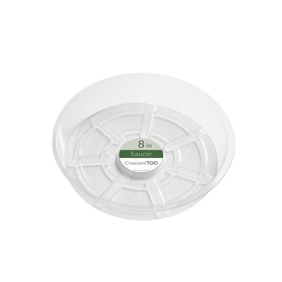 Platillo para plantas con forma de media luna, plástico transparente, 20 cm, 5 cm de alto
