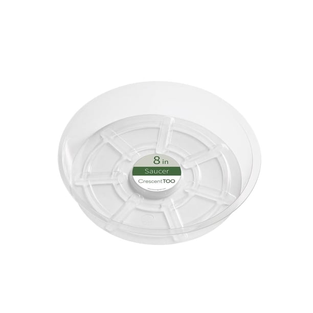 Platillo para plantas con forma de media luna, plástico transparente, 20 cm, 5 cm de alto