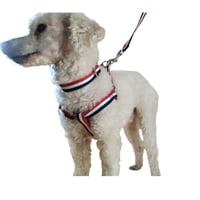 Defensor - Correa, Arnés Y Collar Para Perros De Razas Pequeñas