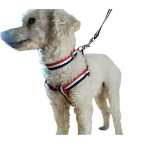 Defensor - Correa, Arnés Y Collar Para Perros De Razas Pequeñas
