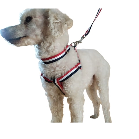 Defensor - Correa, Arnés Y Collar Para Perros De Razas Pequeñas