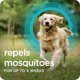 thumbnail image 5 of Sergeant's Pulgas y Garrapatas 15‑30 kg – Suministro de 3 meses, 5 of 7