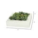 thumbnail image 5 of Planta artificial Vickerman Everyday, 30 x 30 cm, suculenta, color verde, 5 of 7