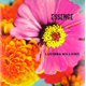 thumbnail image 1 of Vinilo UNIVERSAL Essence (2LP) Naranja Translúcido, 1 of 1