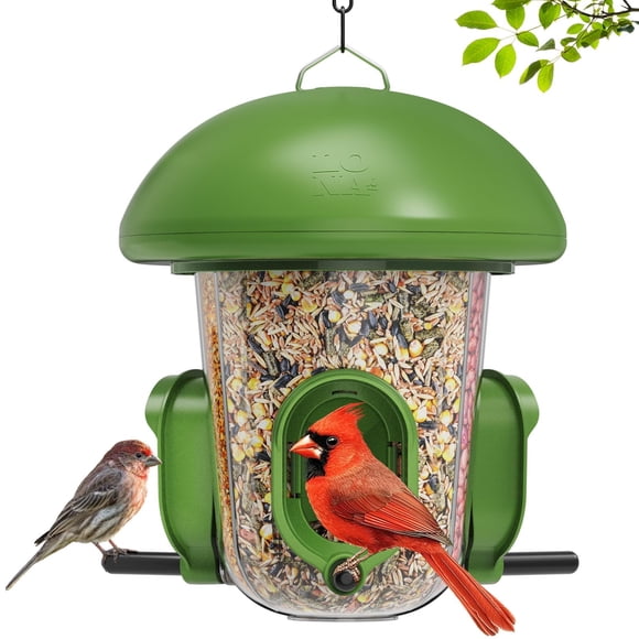 Comedero para Pájaros LO NA LOVE NATURE 3 Compartimentos Verde