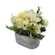 thumbnail image 3 of Planta Artificial Macetero De Cemento Flowers And Plants beige, 3 of 8